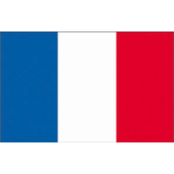 BANDIERA FRANCIA