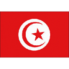TUNISIA FLAG - 5252407