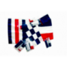FLAG FRENCH REGULATORY - 5252564