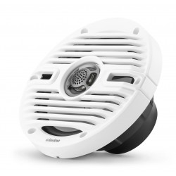 COPPIA ALTOPARLANTI CLARION