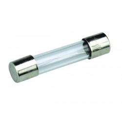 GLASS FUSES