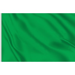 BANDIERA VERDE