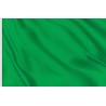 GREEN FLAG - 5252146