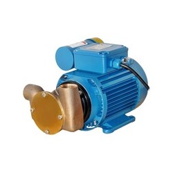 230V SELF-PRIMING PUMP