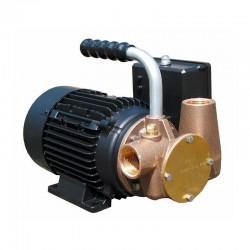 230V SELF-PRIMING PUMP...