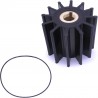 GIRANTE 18958-0001-P - Z18958-0001-P