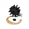 IMPELLER 17937-0001-P - Z17937-0001-P