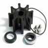 53080 SERIES PUMP REPAIR KIT - ZSK411-0003