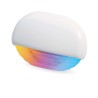 LED COURTESY LIGHTS - RGB LIGHT