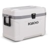 IGLOO ICEBOX - 2420044