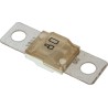 FUSIBILE AMI/MIDI - 4105255