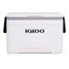 IGLOO ICEBOX - 2420041