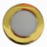RECESSED COURTESY LIGHT - 4040661