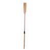 BEECH OAR - 0909218