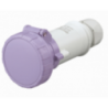 SOCKET 2P 12/24V. 16A IP67 - 3939247