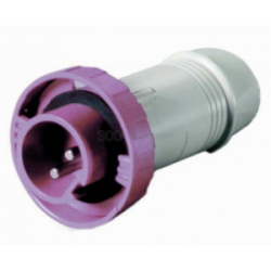 SPINA PER PRESA 2P 12/24V....