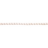 ELASTIC BRAID - 0832004