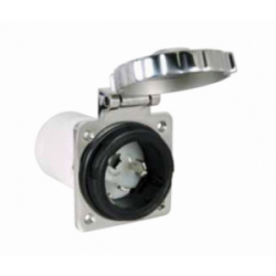 PLUG 3P+T 125/250V. 50A IP56