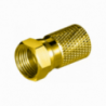 CONNETTORE F - 5555418